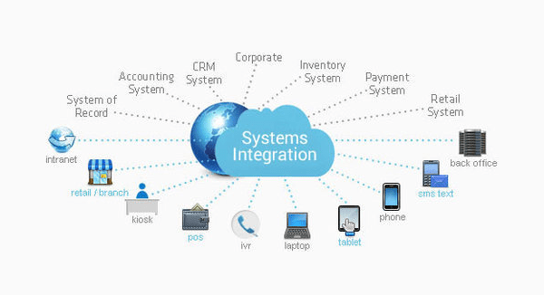 System Integrator Partner
